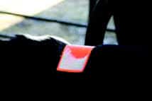 Estrotect Heat Detection Strips (pack of 50) - Image 4