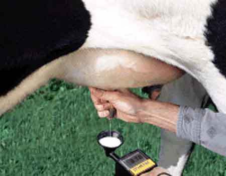 Draminski Mastitis Detector (4 Quarter Display)