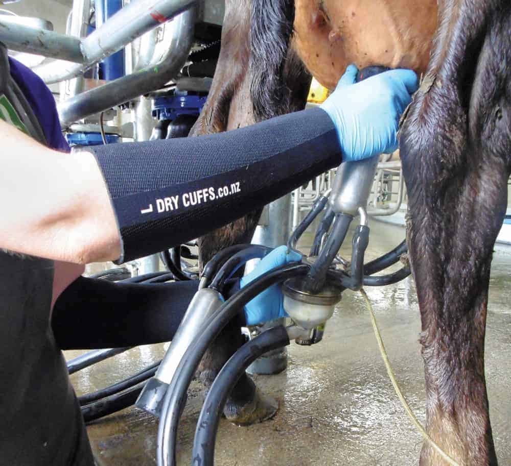 Dry Cuffs Milking Sleeves