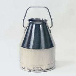 Stainless Steel Dump Bucket (30 Litre)