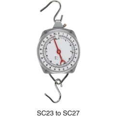 Suspended Weigh Scales