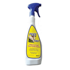 Feet First Spray 500ml
