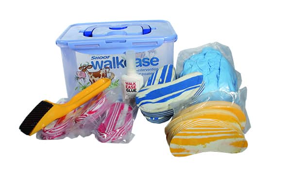 Shoof Walkease Starter Kit Mixed 10 Pack with Glue