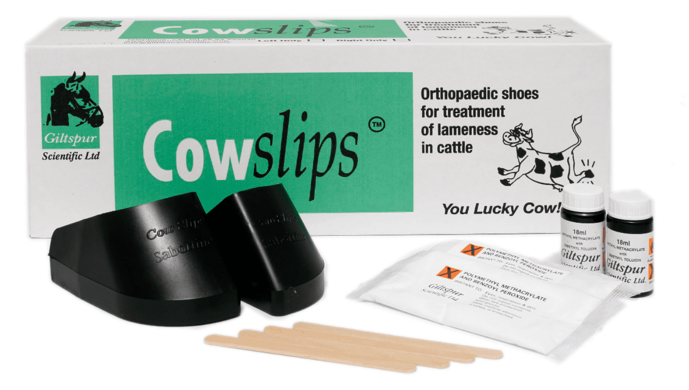 Cowslips Plus Original (10 pack)