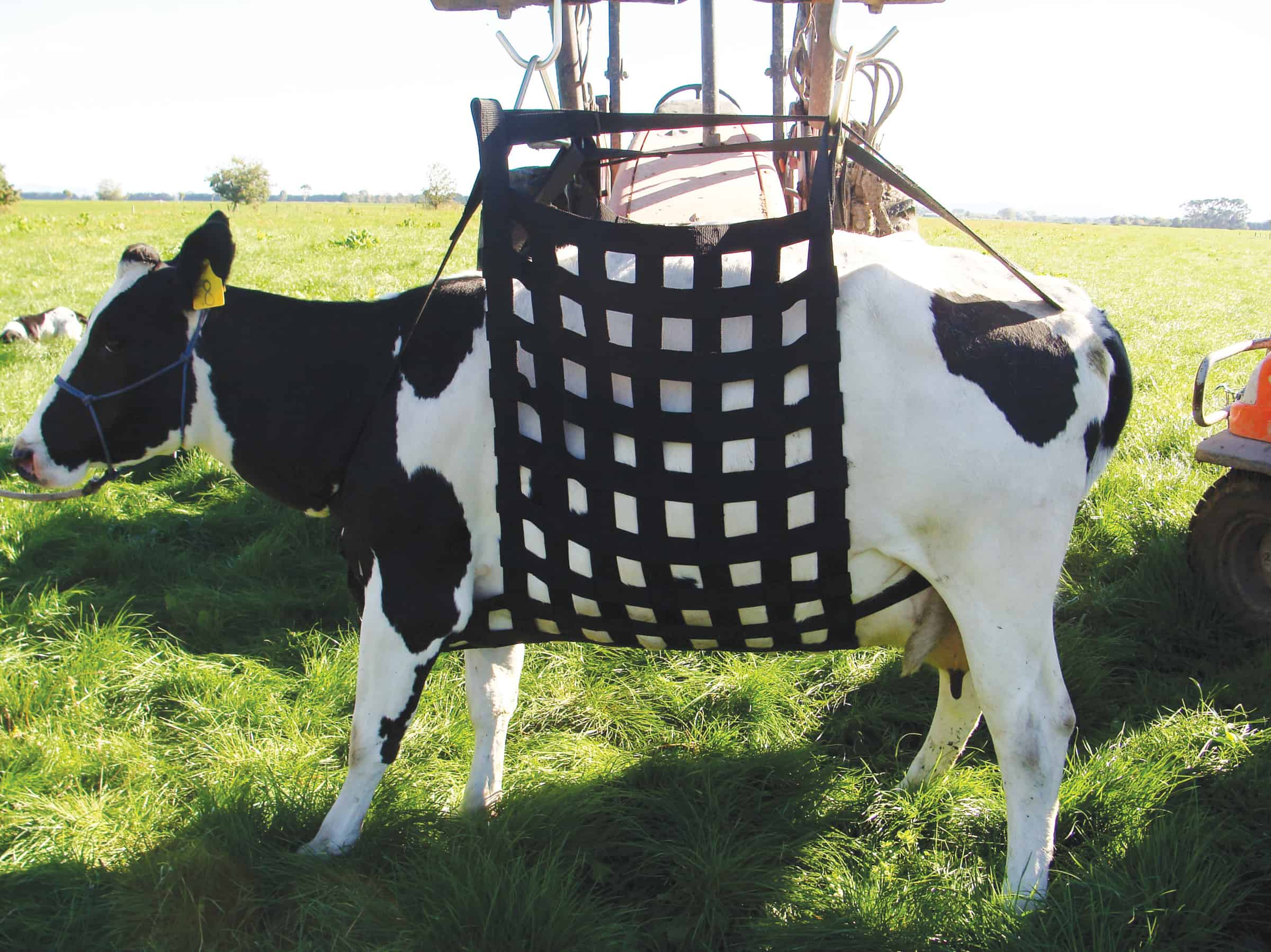 Shoof Cow Lifter Liftease Complete (+ Hardware Kit)