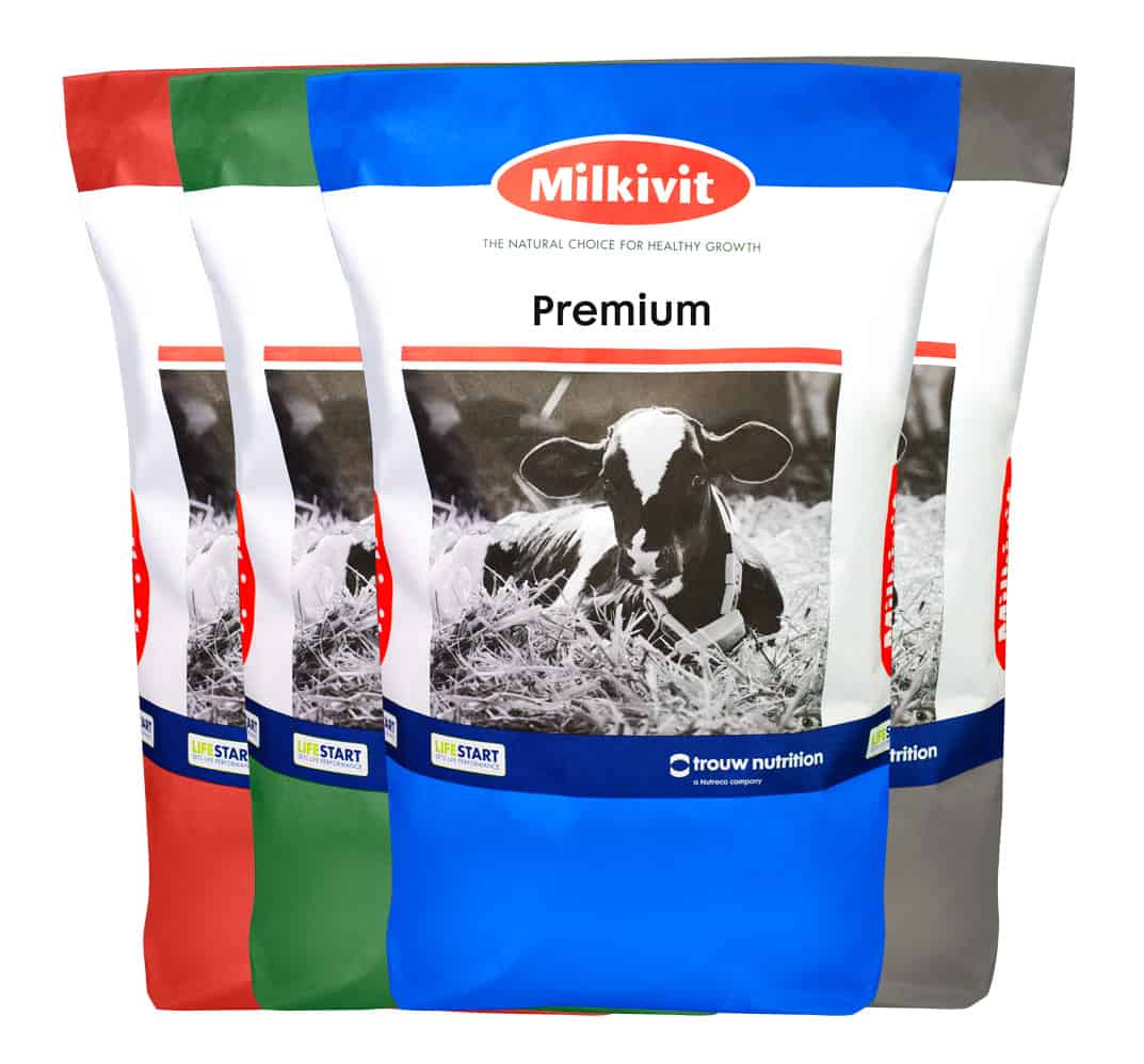 Milkivit Premium Milk Replacer