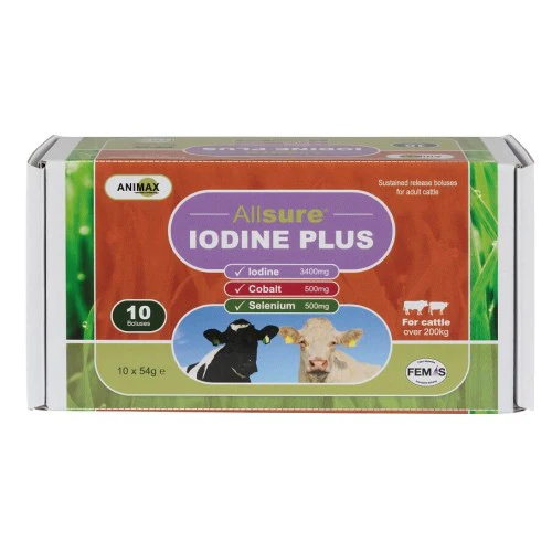 Animax Allsure Iodine Plus (10pack)